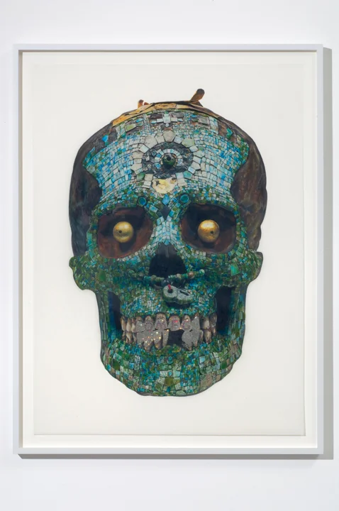 NM_MosaicSkullOMFG_RAW_1 copy.jpg