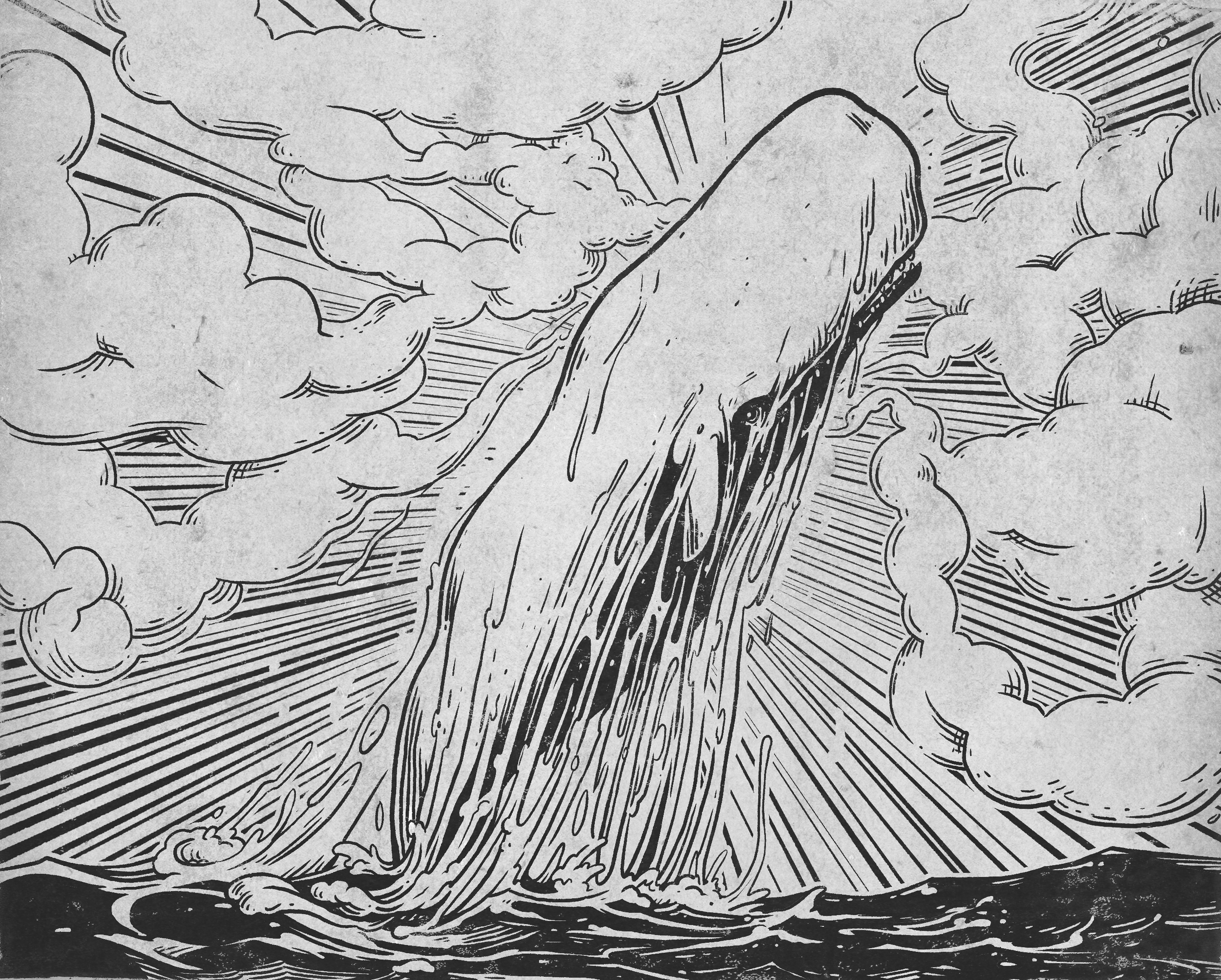 JB_illustrations_v0152A_-White-Whale-Booming-up.png