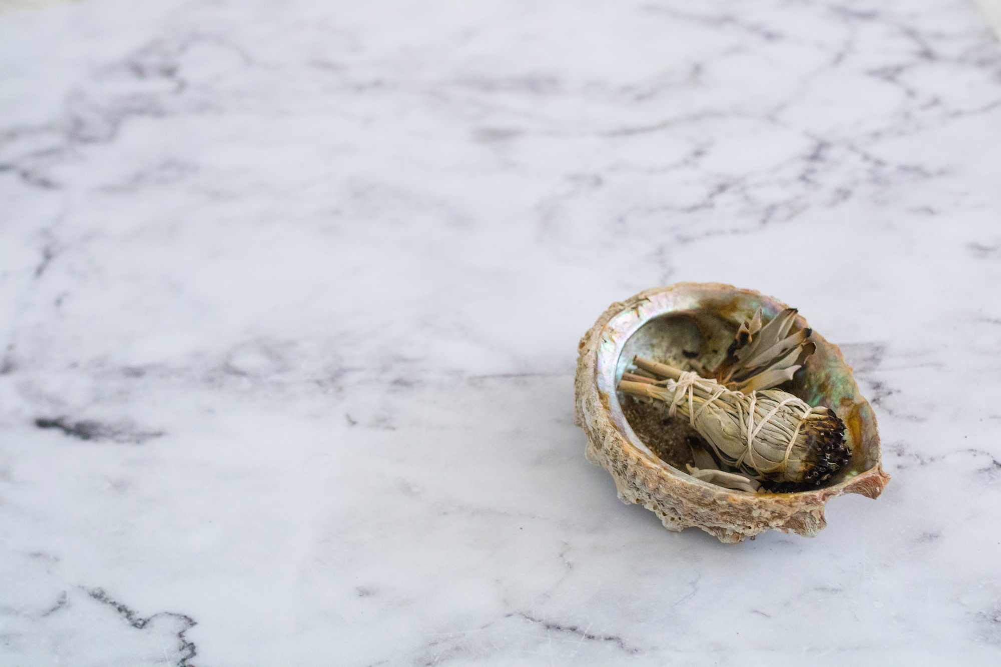 My abalone shell and sage used during the ritual.