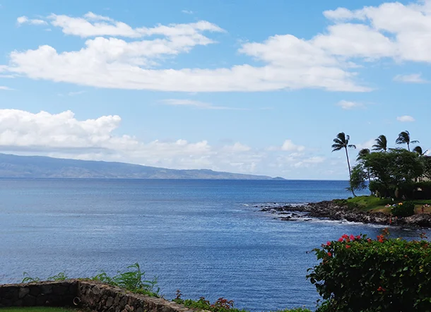 MauiHouse8.jpg