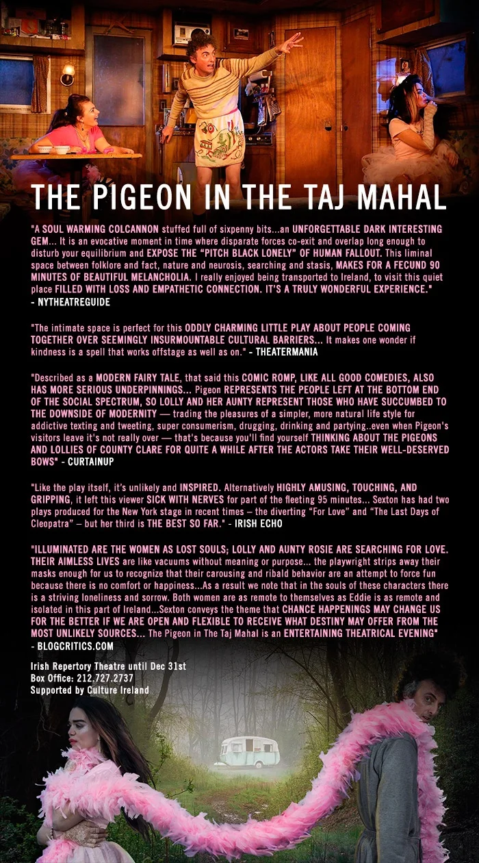 Pigeon-reviews-01.jpg