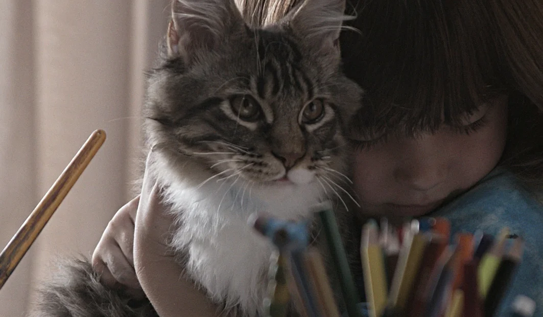 Thumb_Whiskas.jpg