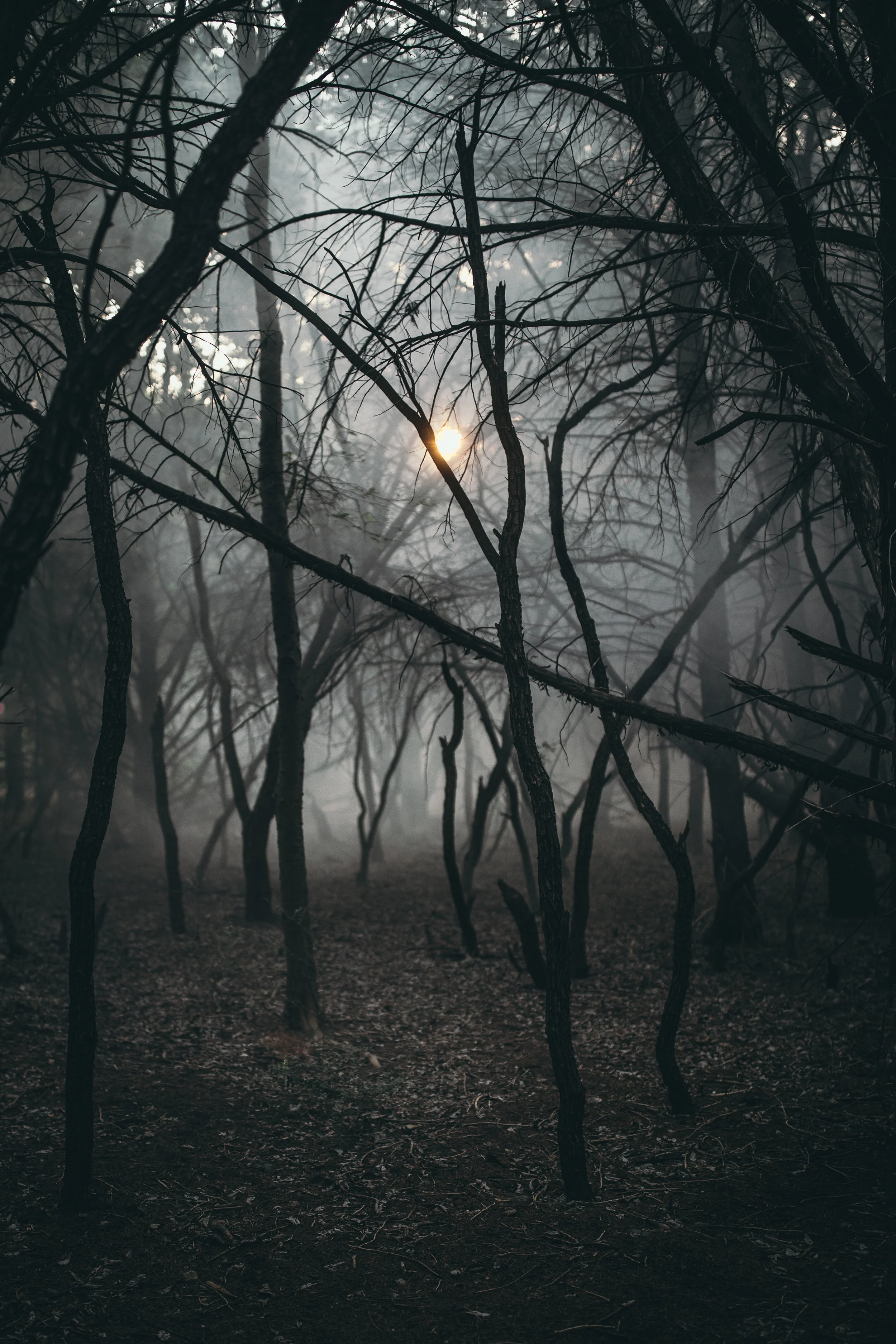 CK_AvantGarde-128.jpg