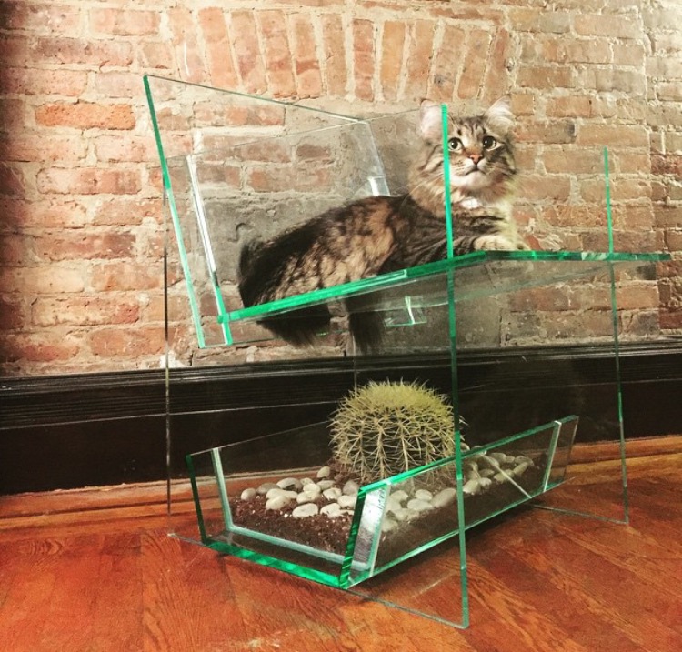 FullSizeRender.jpg