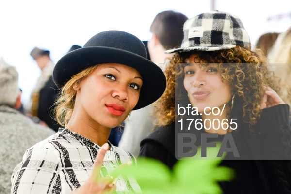 preview_BFA_14206_1760065.jpg