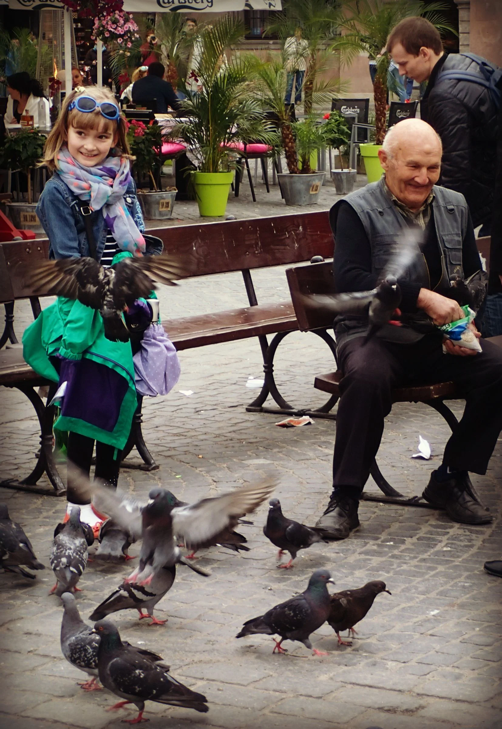 Lord Governor of the Pigeons This gentleman ruled a large flock of pigeons in the center of Warsaw Old Town. He was so full of glee to introduce his bird community to everyone. He placed just a few breadcrumbs in the little girl's hand and she started grinning ear-to-ear because of all the flying pigeons. Her enjoyment fueled his enjoyment and it was a lovely sight to see. Side note: Did you know a group of flying pigeons is called a kit?