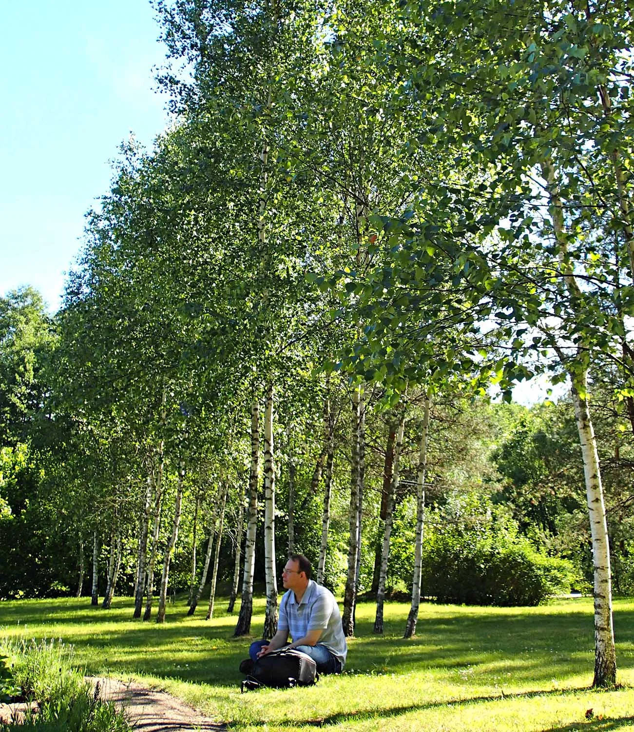 We all came to an unspoken agreement to sit down in the knoll spaced evenly apart. Beautiful in the sunlight, the knoll was edged by a peaceful grove of birch trees that whispered in the wind. (That's my brother gazing at the Pyramid.)