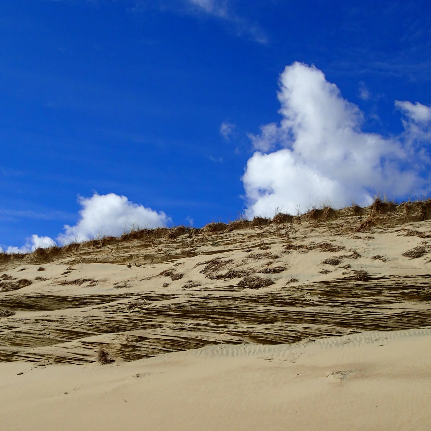 Trudging through a river of sand with dunes built into cliffs on either side, our journey through the stunning landscape was difficult though rewarding.