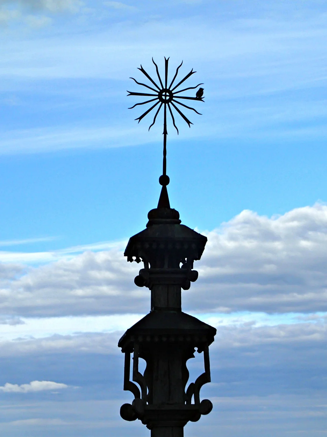 The decorative tops of crosses provide glorious perches for tiny birds like this little fella here.