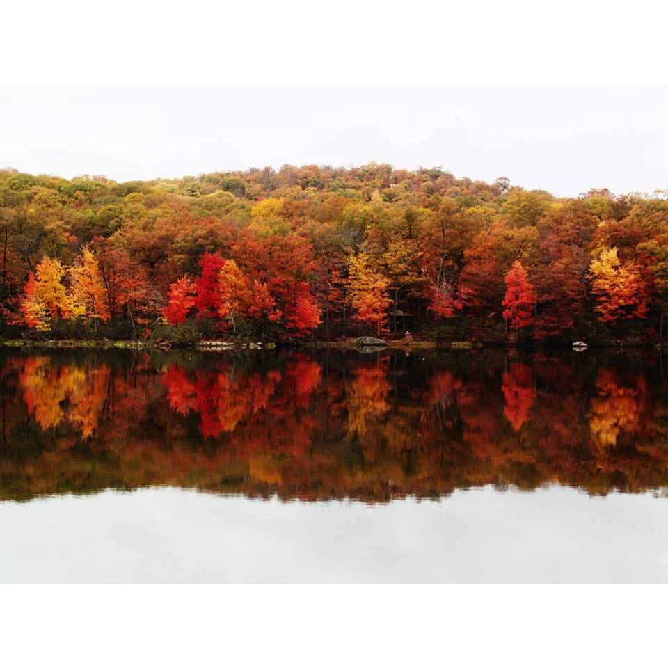 Rainy days make autumn leaves pop. (Lake Sebago in Harriman State Park, New York) 