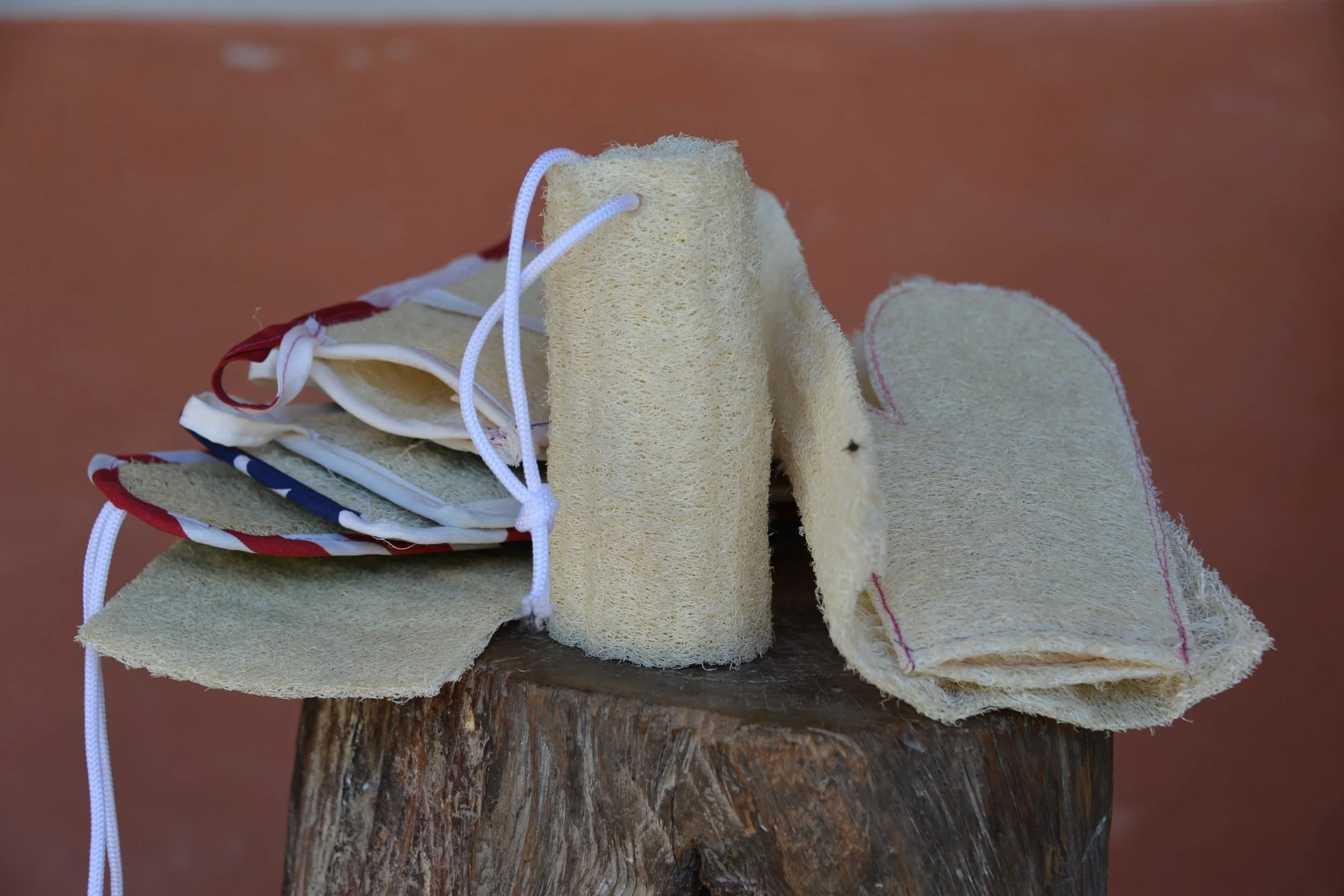 loofah cylinder.jpg