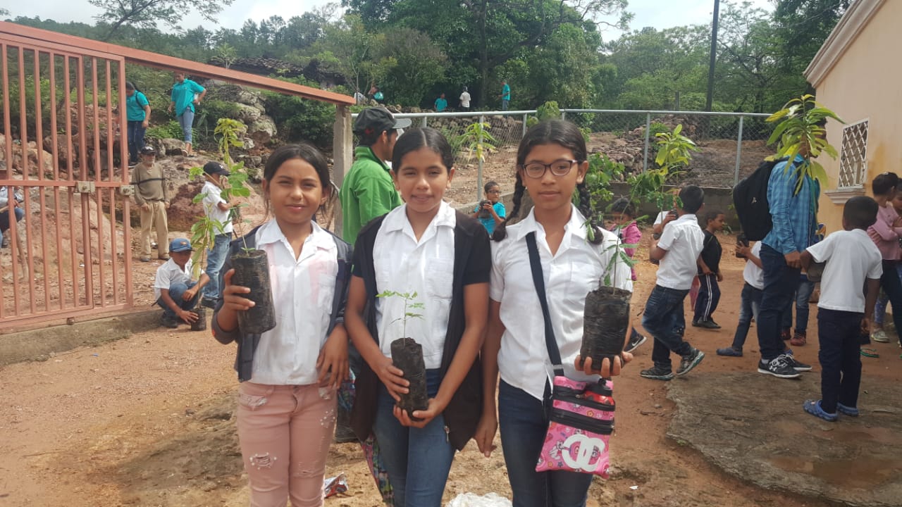 Planting trees.jpeg