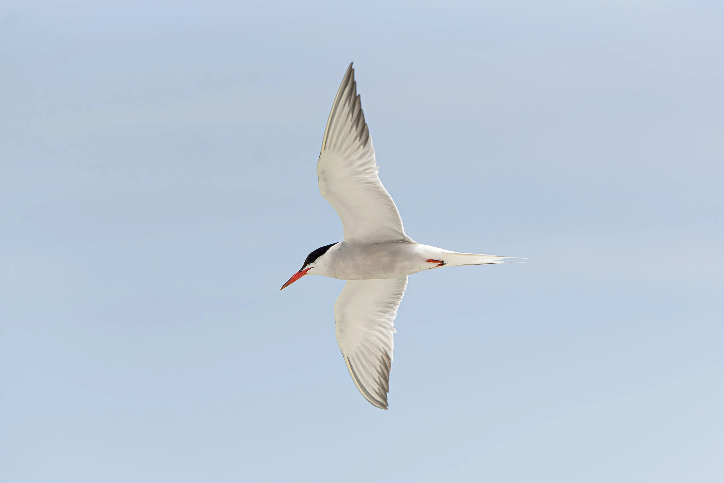 190805_LBI_12.JPG