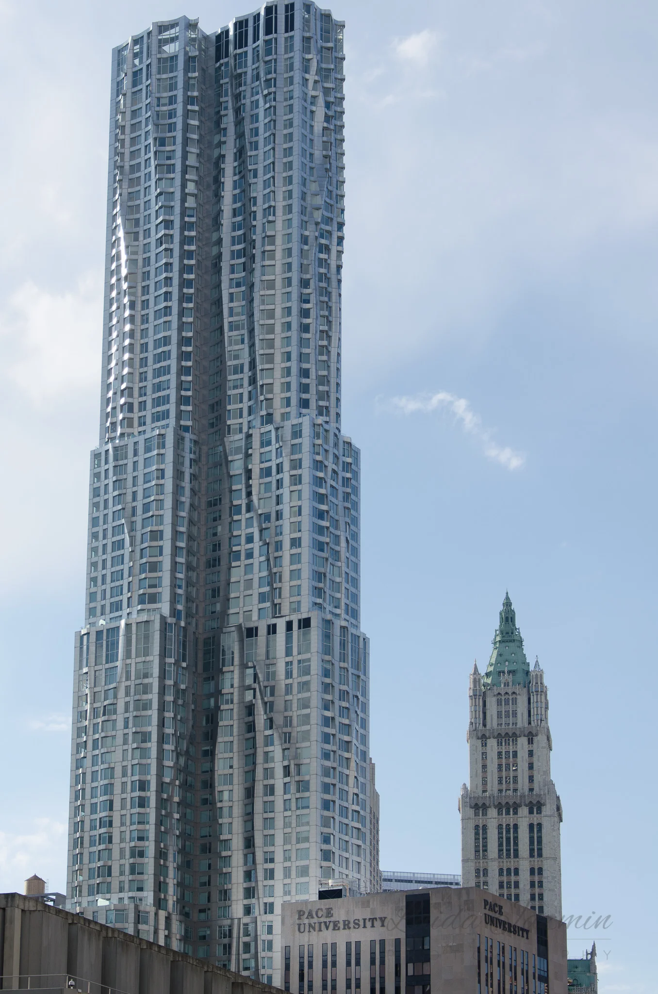 DSC_0230.JPG