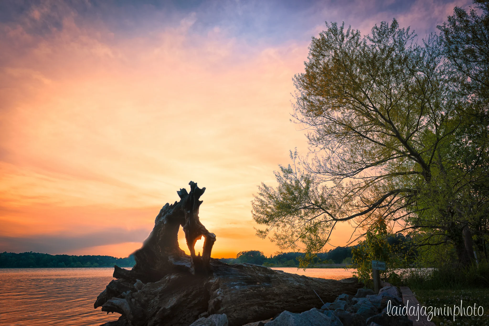 LAJ_2406-Edit.jpg