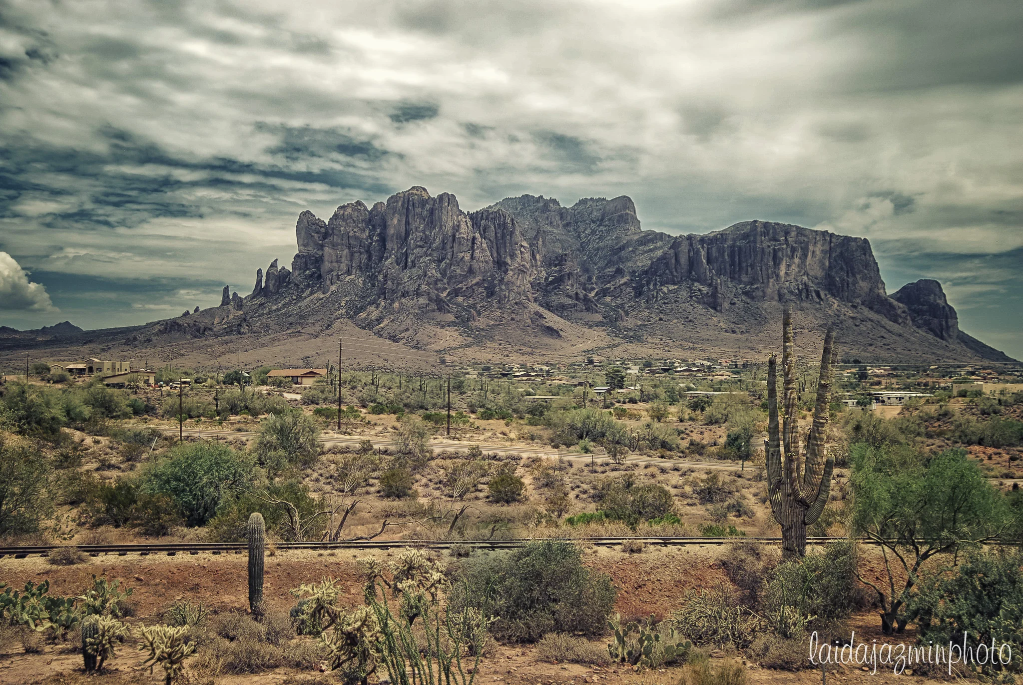 DSC_2815-Edit.jpg