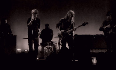 Phoenix - Chloroform 