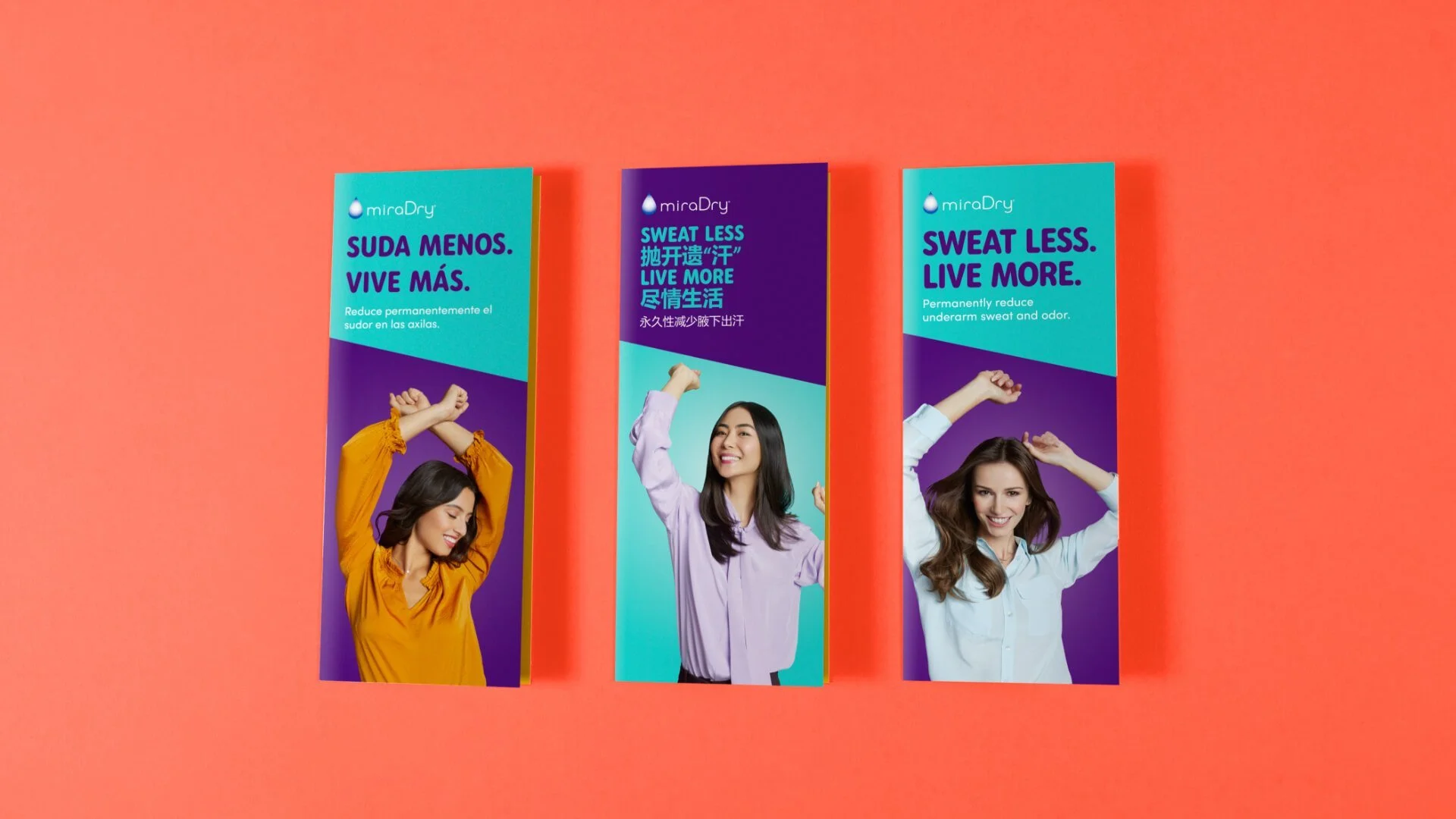 Multilingual+Campaign+Brochures.jpeg