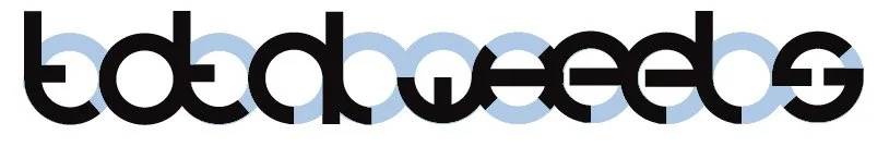 total-wheels-identity-concept_2247964930_o.jpg