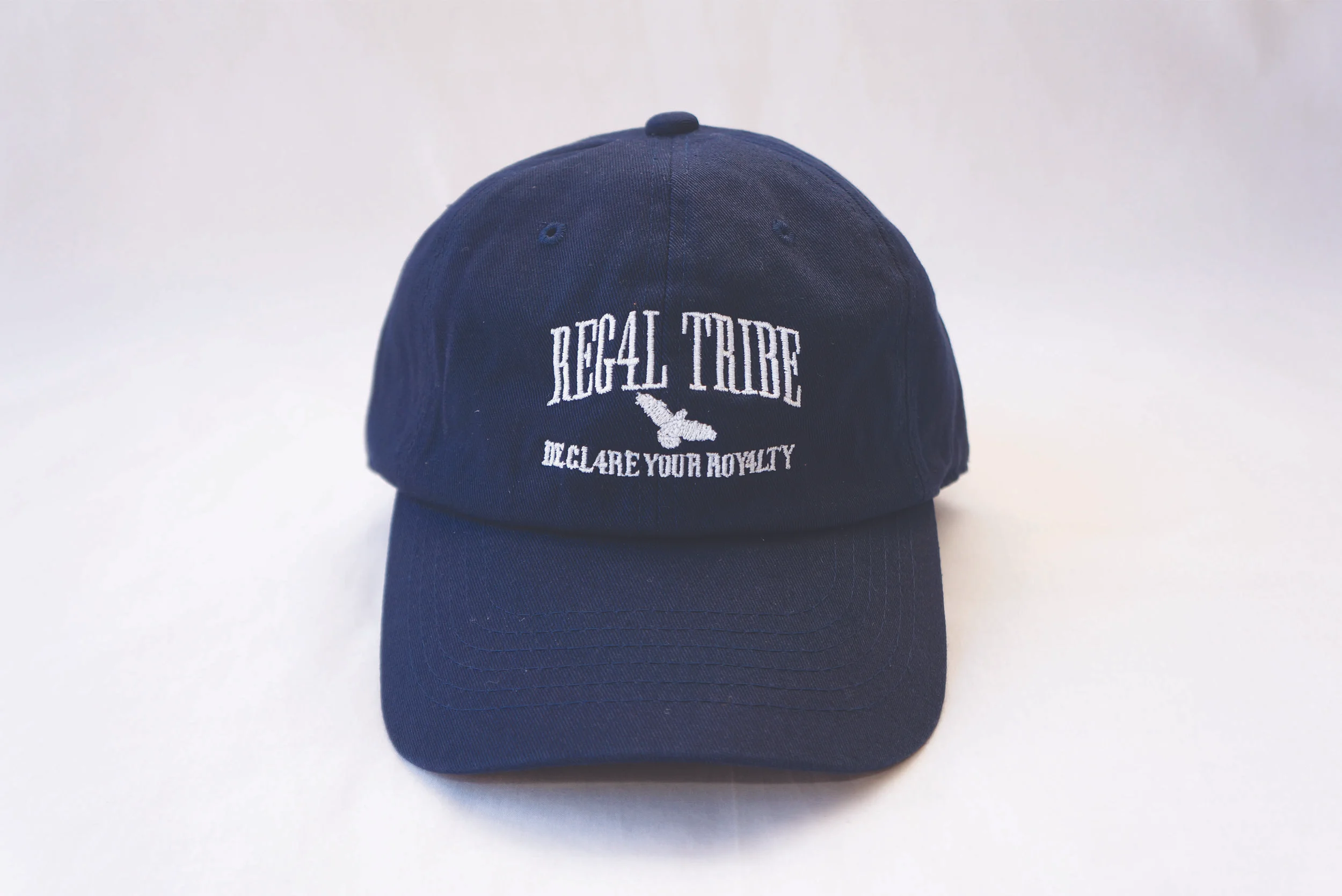 Flight of the Crow Hat (Navy).jpg