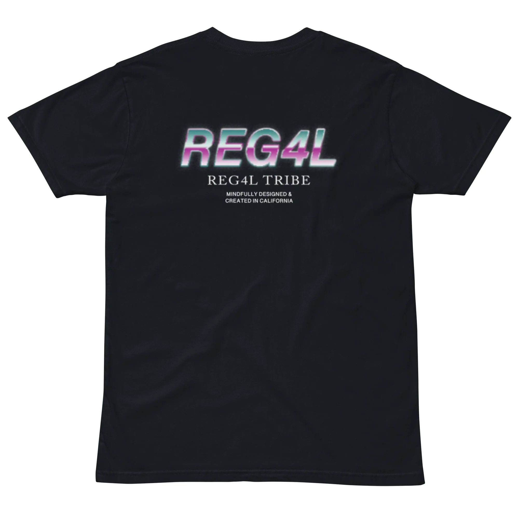 unisex-premium-t-shirt-navy-back-6818cd519b67b.jpg