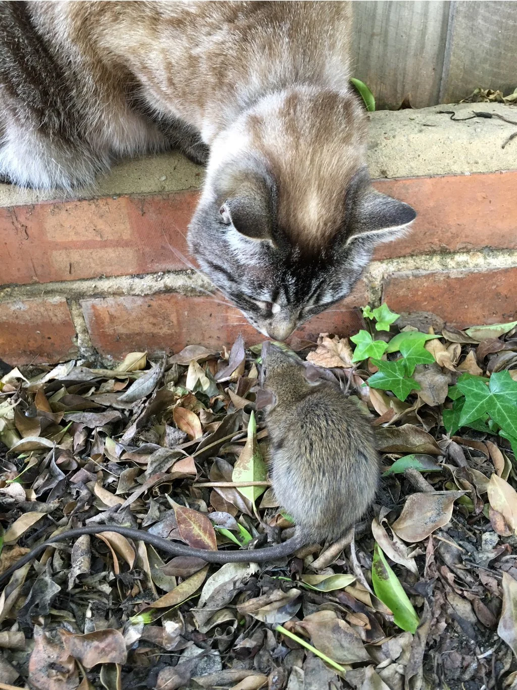 Building User Empathy Within Product Teams