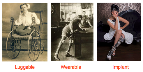 Evolution of limb replacement solutions