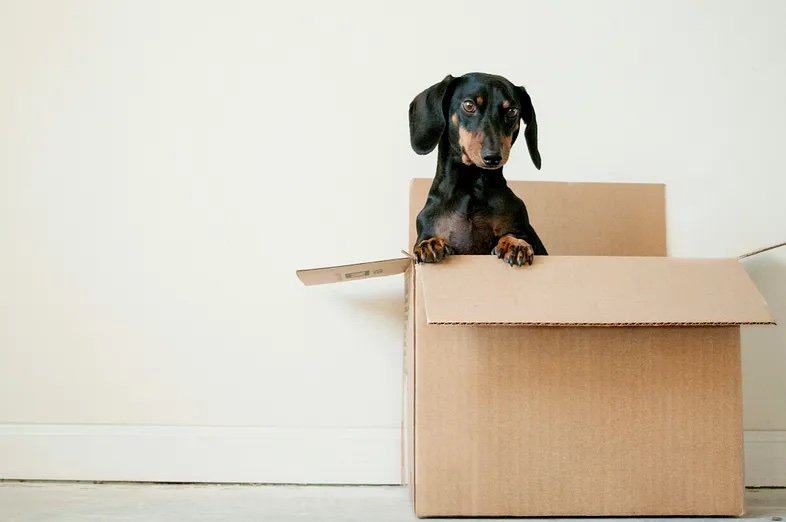 Make moving a breeze with these 7 steps