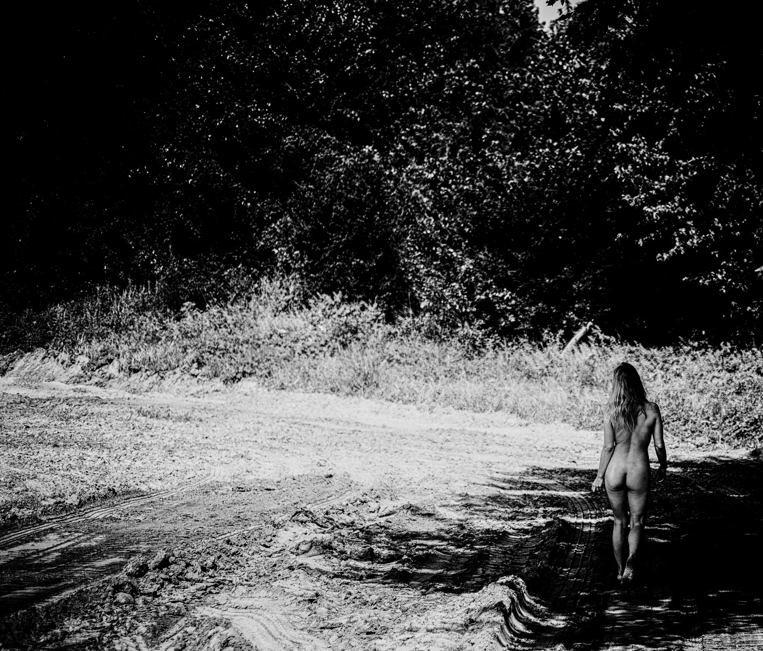 DSC_8669-Edit-Edit.jpg