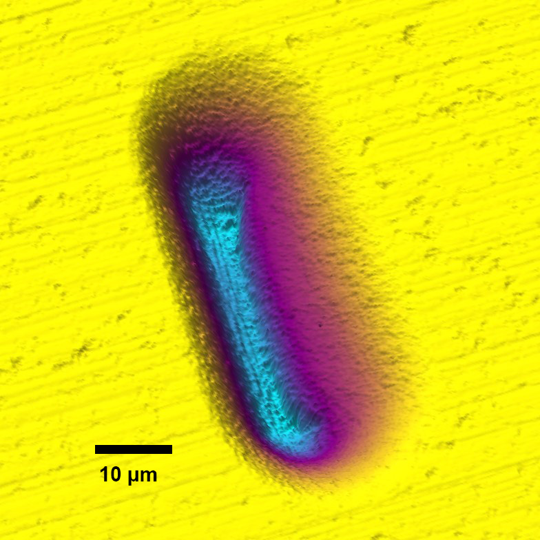  Confocal microscopy measurement of a roughly 80 μm long oblong dimple with a non-symmetric cross section. 