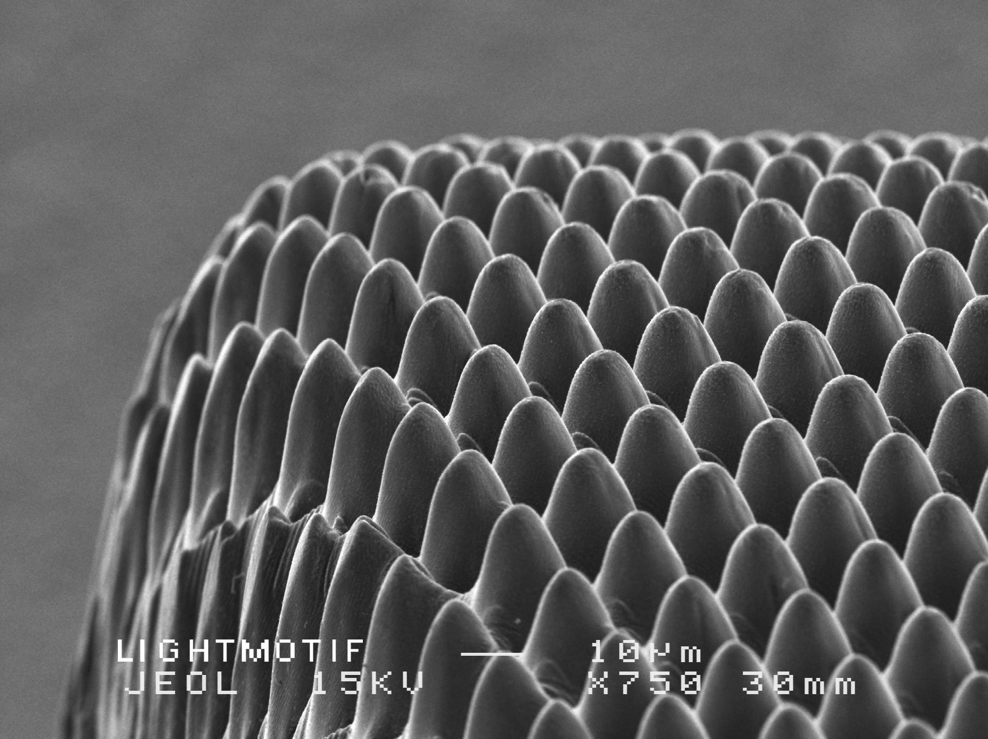  20 µm pitch cross-hatch texture on a curved stainless steel part. 