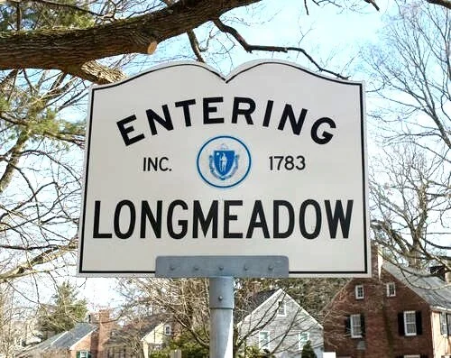 Longmeadow Town Committee Vacancies
