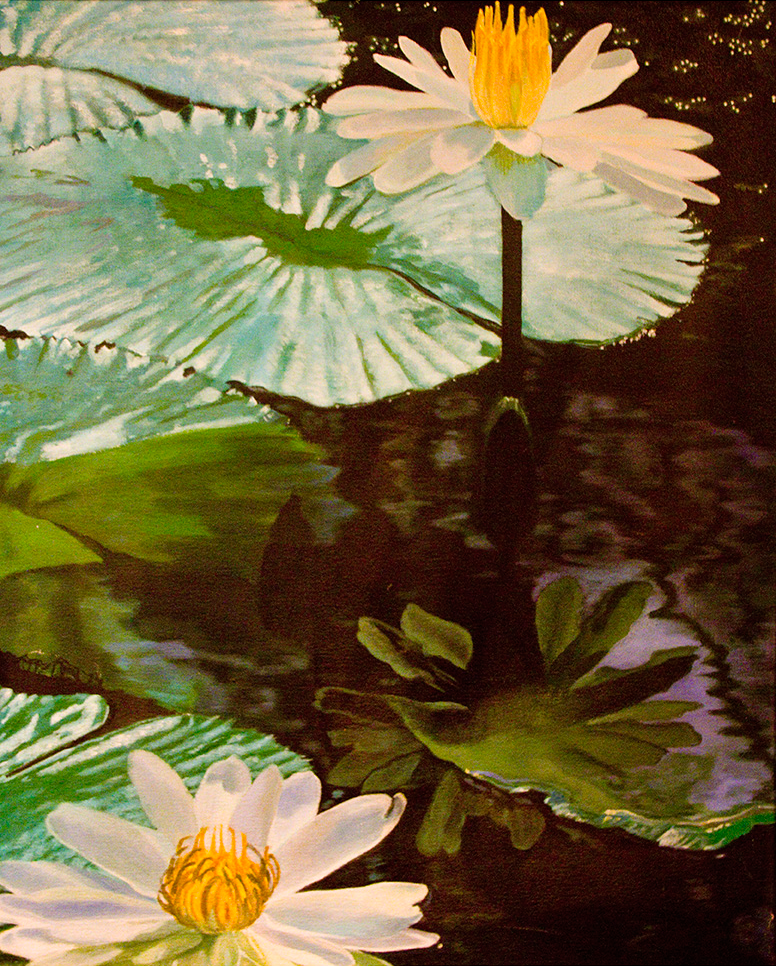 Water Lilies