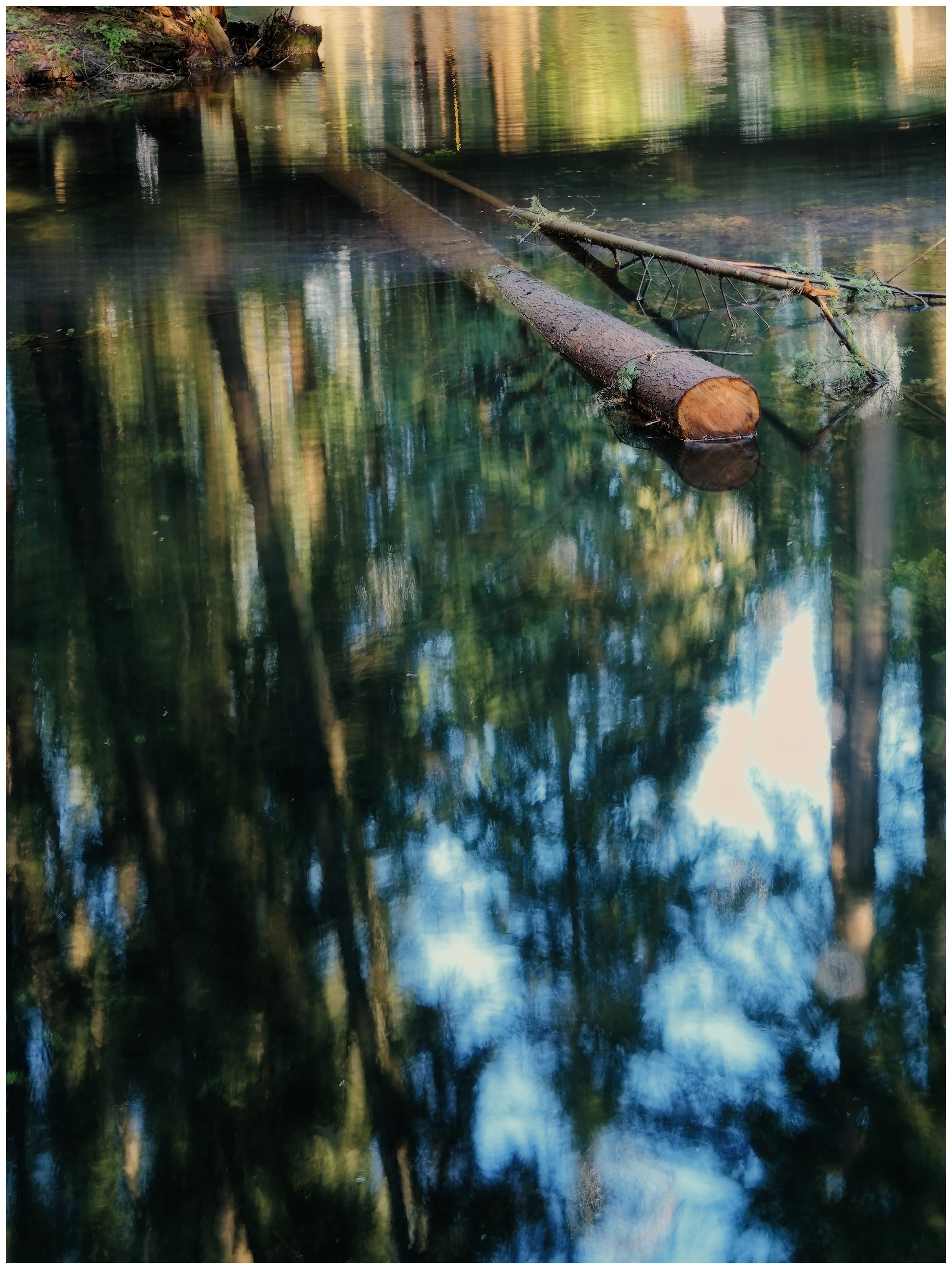 P1120097_Nik-1_DxO.jpg