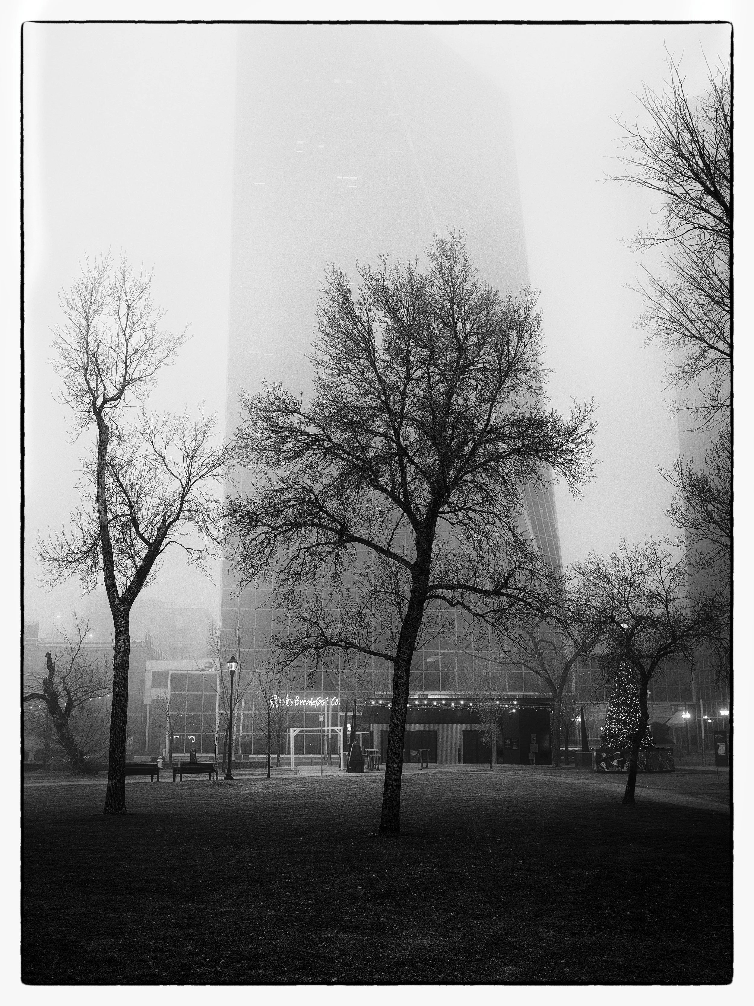 PB260021_nn_DxO.jpg