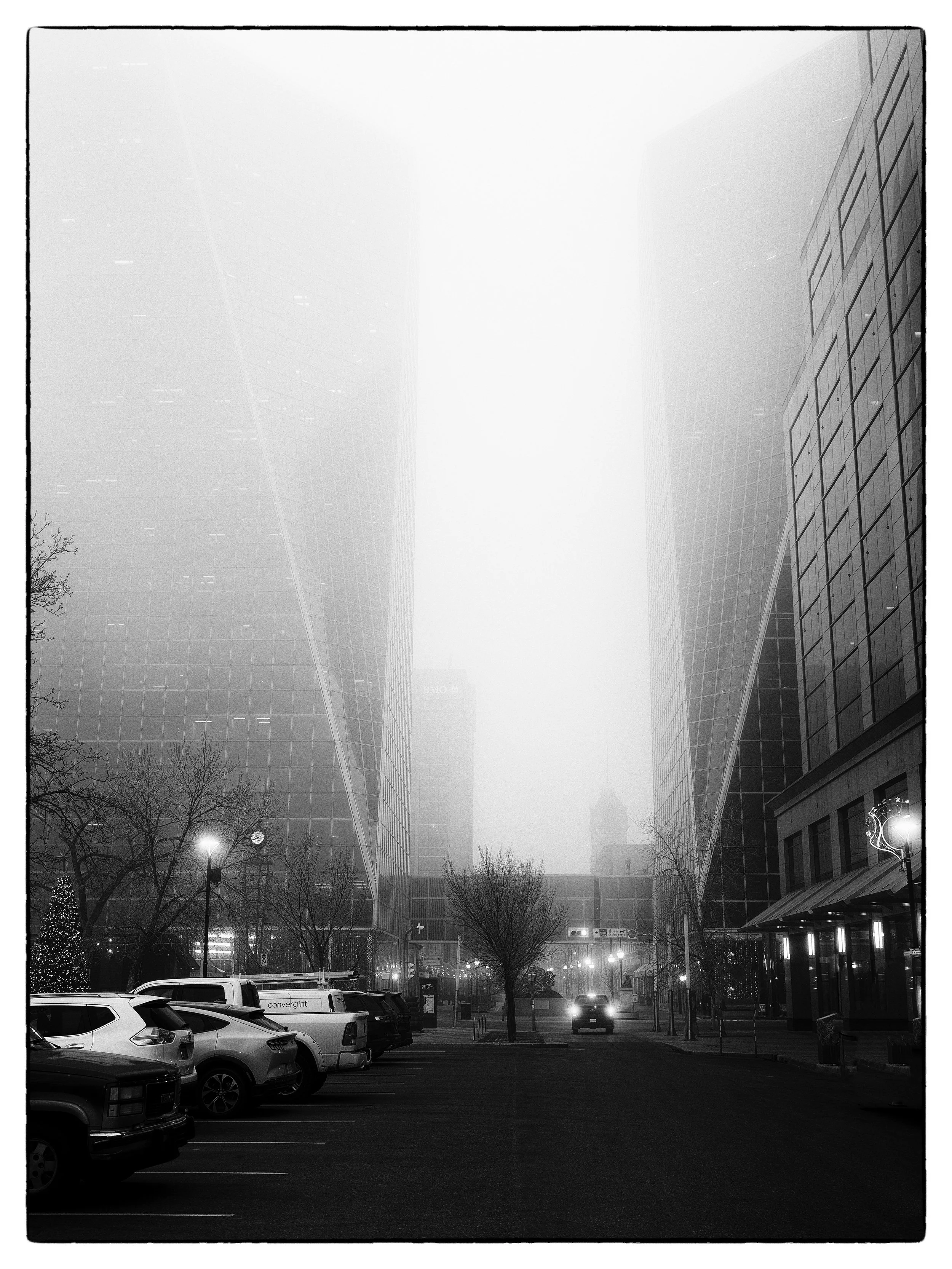 PB260022_nn_DxO.jpg