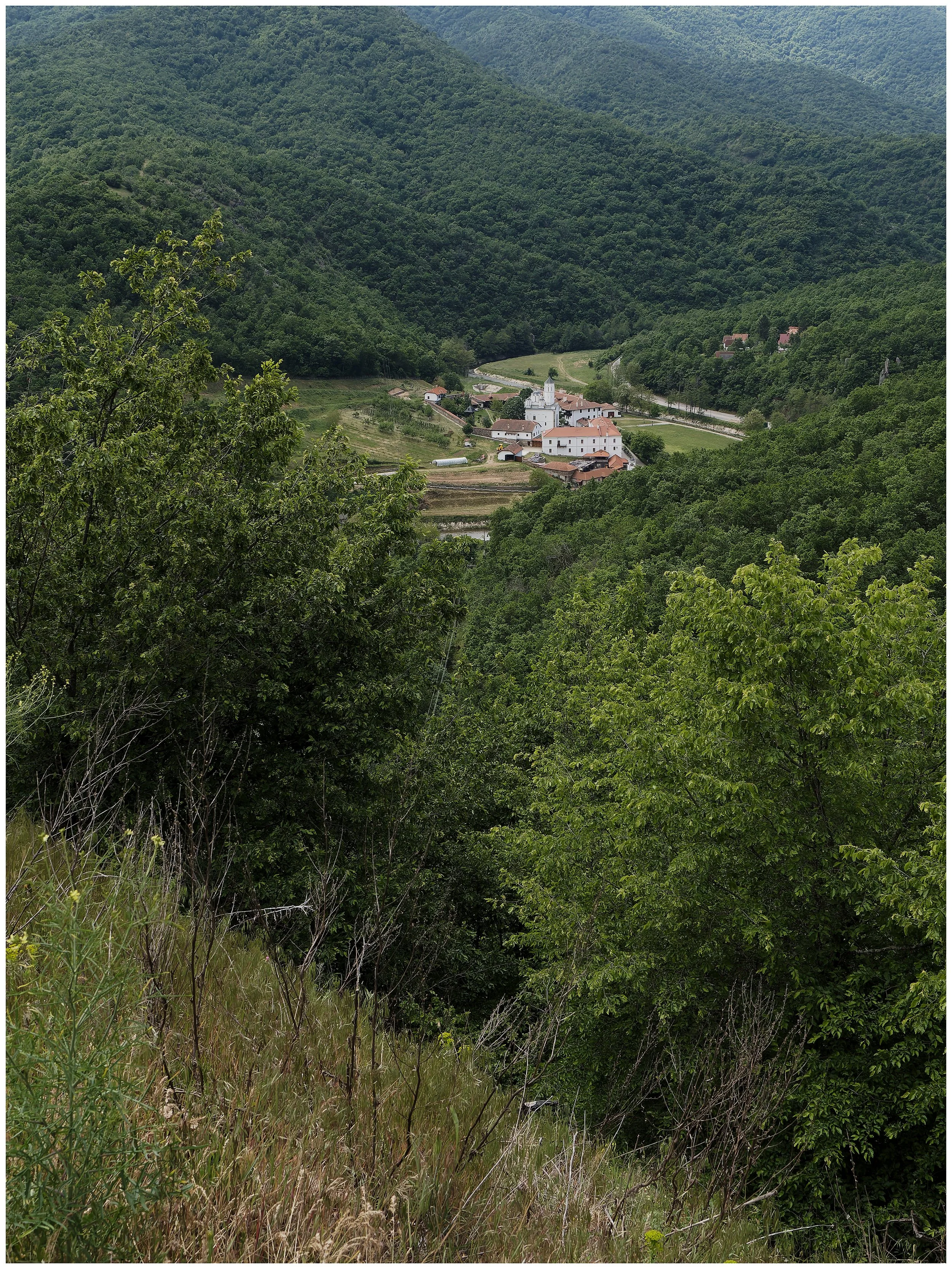 P5150663_Nik_DxO.jpg
