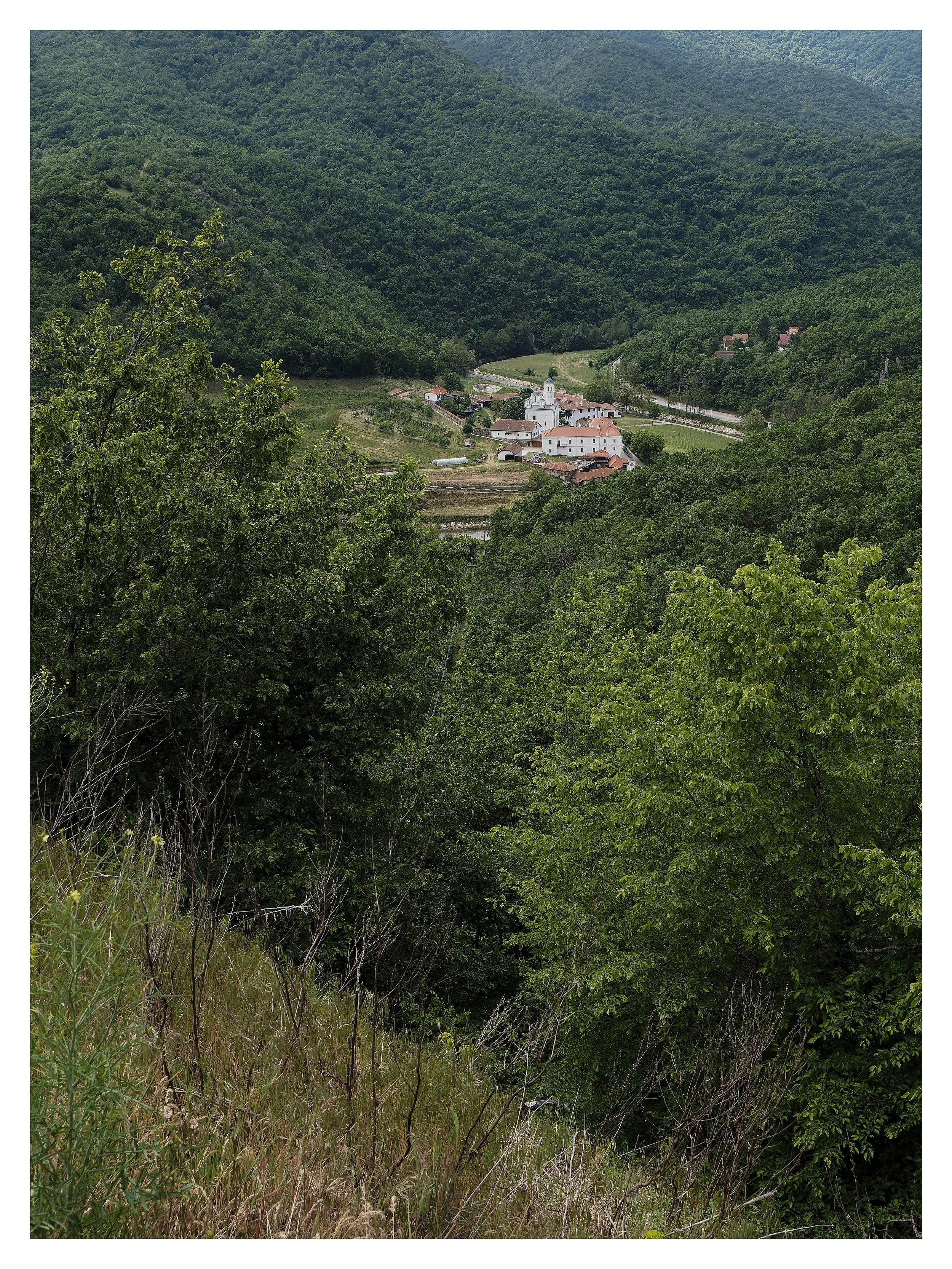 P5150663_Nik_Nik_DxO.jpg