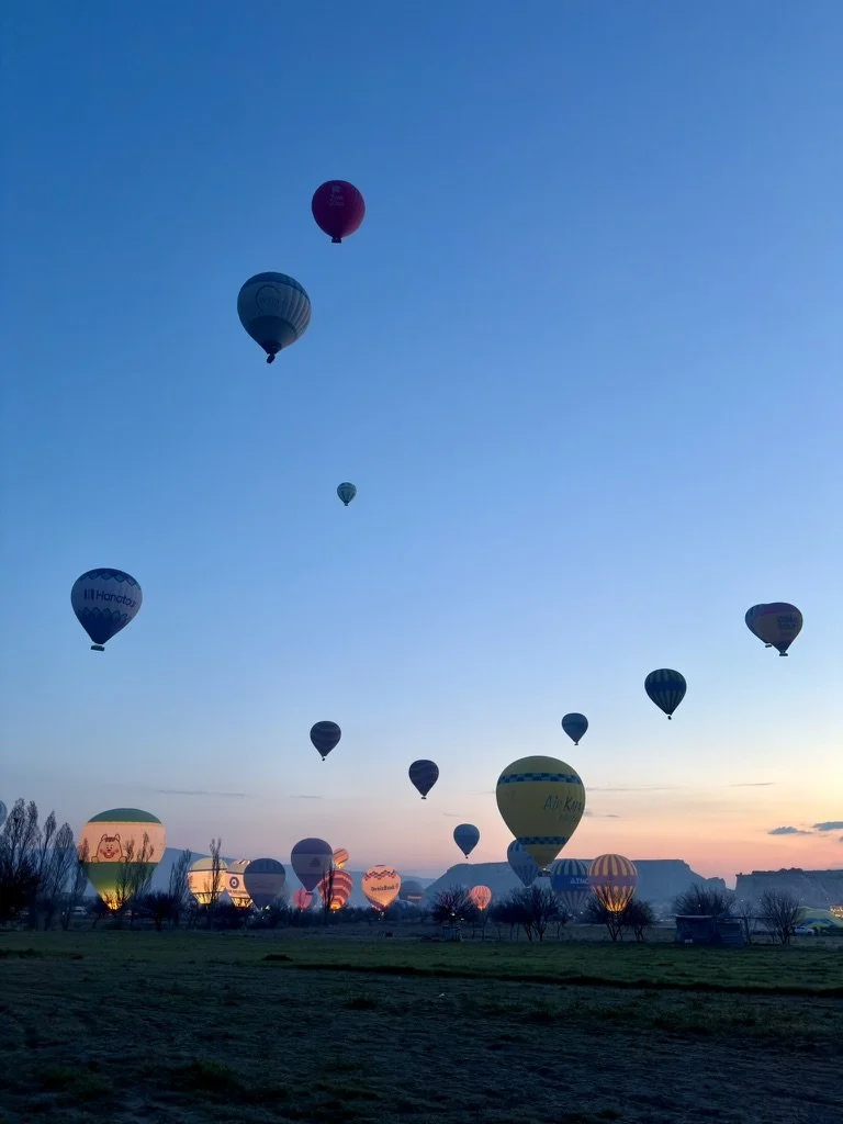 2D5078F0-4CF5-43D8-8250-4AC77CD03310_1_105_c.jpeg