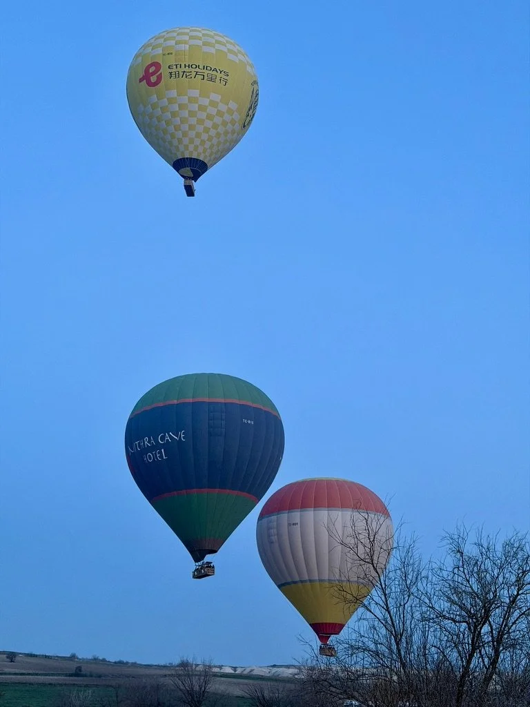 D895F75C-B022-4F5A-BBB7-F417691921E5_1_105_c.jpeg