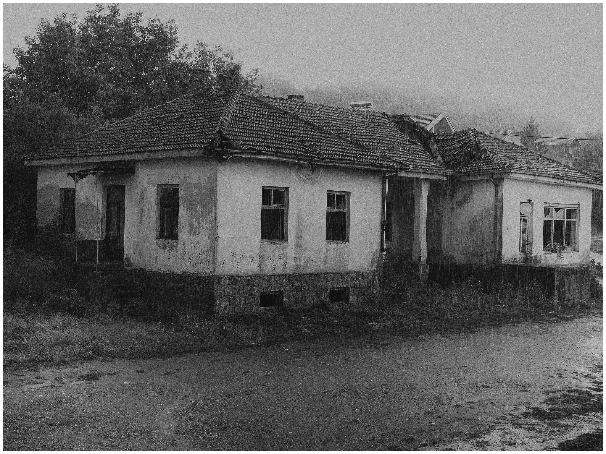 OM230437_Nik_DxO.JPG