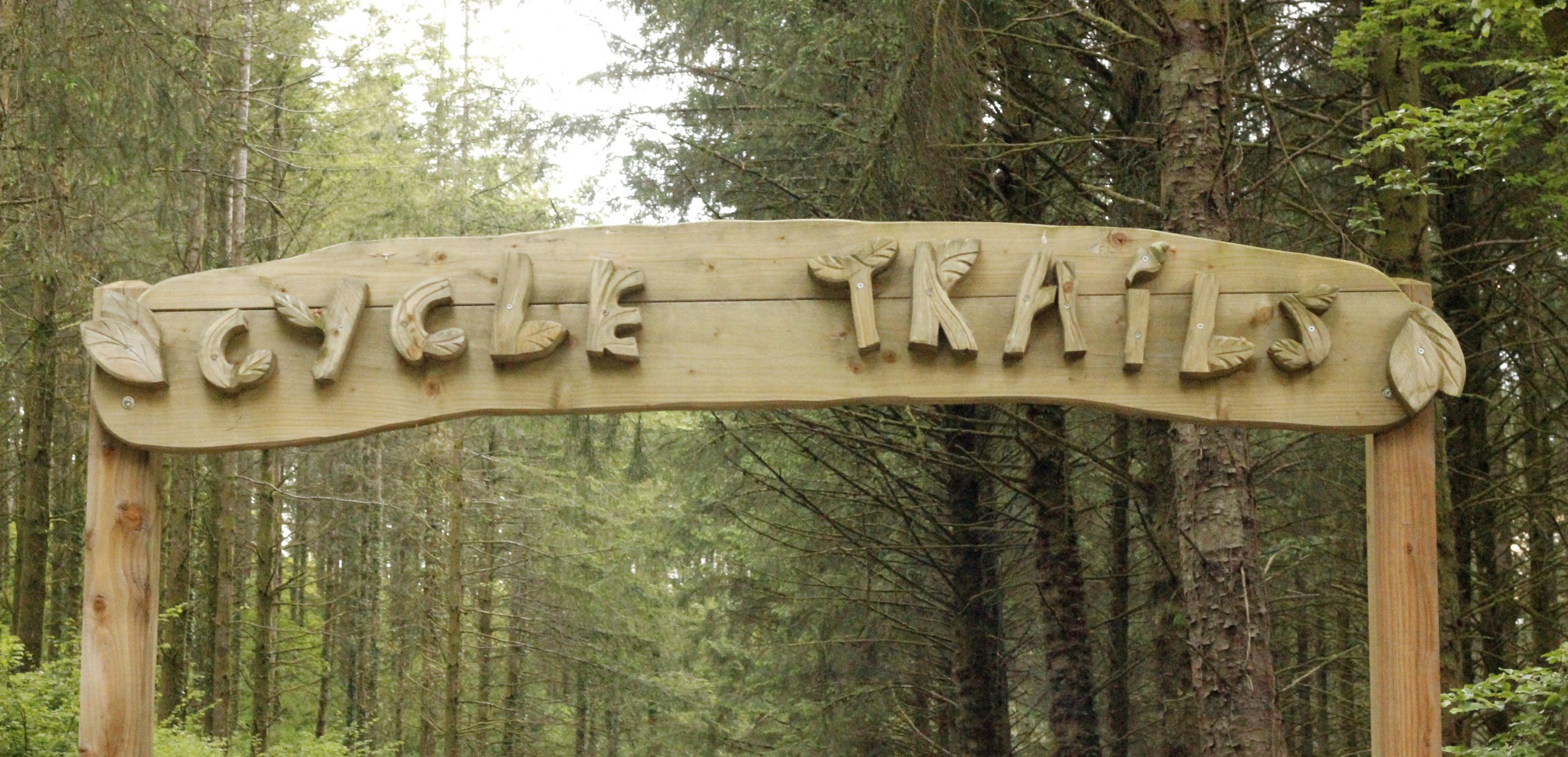 Cycle trails at Cardinham Woods