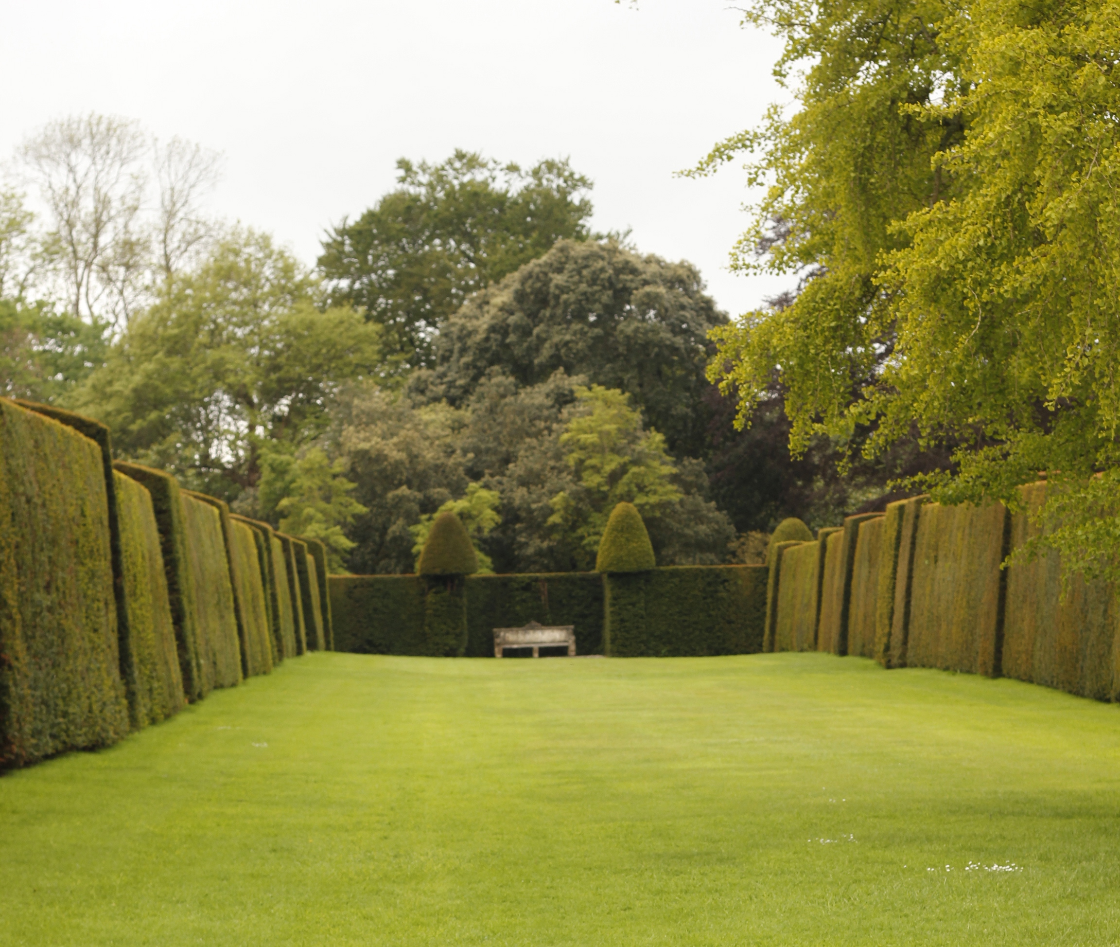 Anyone recognise this from Alice in Wonderland? Just add a gazebo.