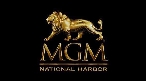 MGM-Logo-2.jpg