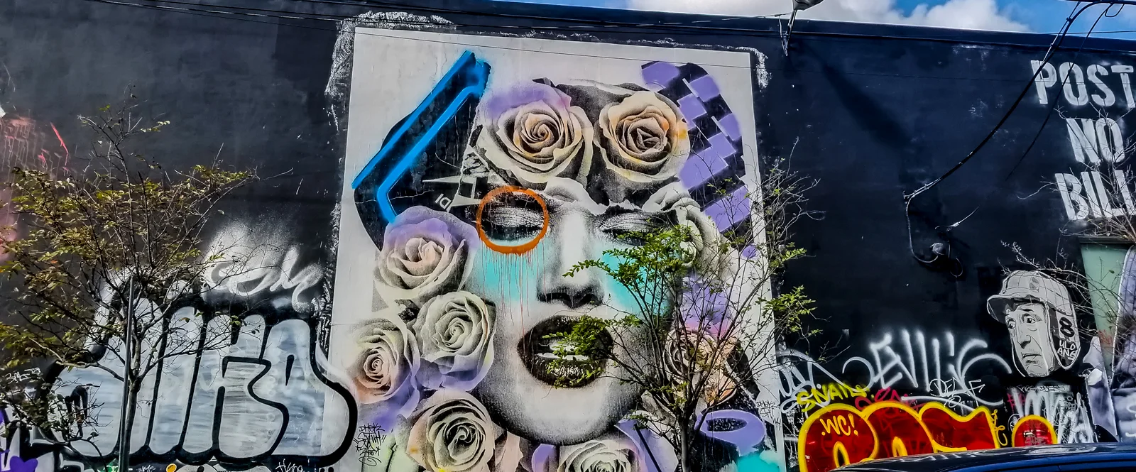 wynwood21.jpg