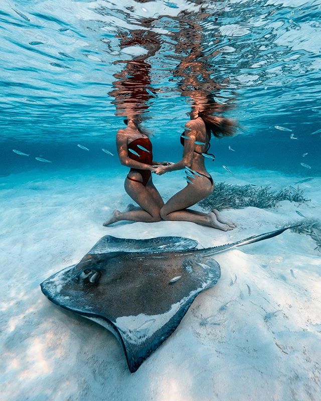 Always making new friends underwater 😉💦
With @sjanaelise 💙