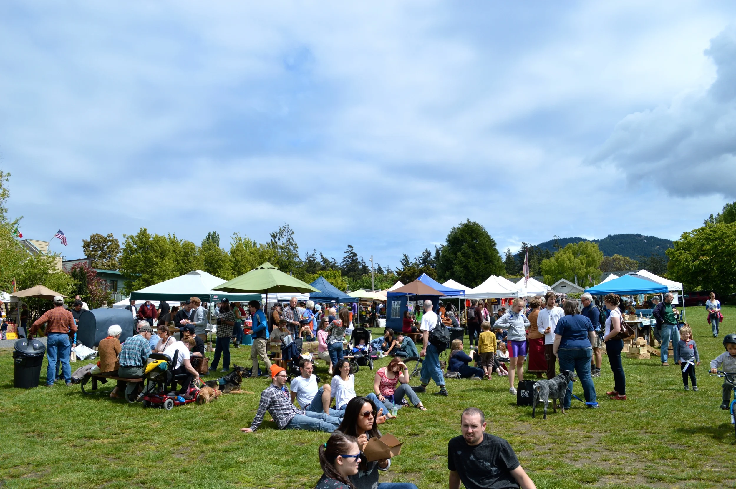 Patrons visiting the Farmers Market @ Eastsound Village Green (click to enlarge)