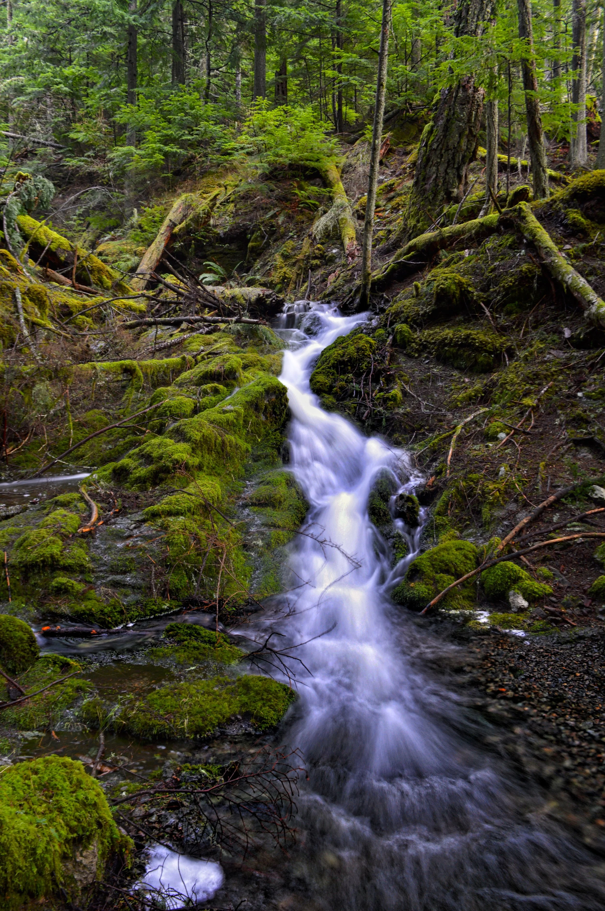 Waterfall on Cold Springs Trail