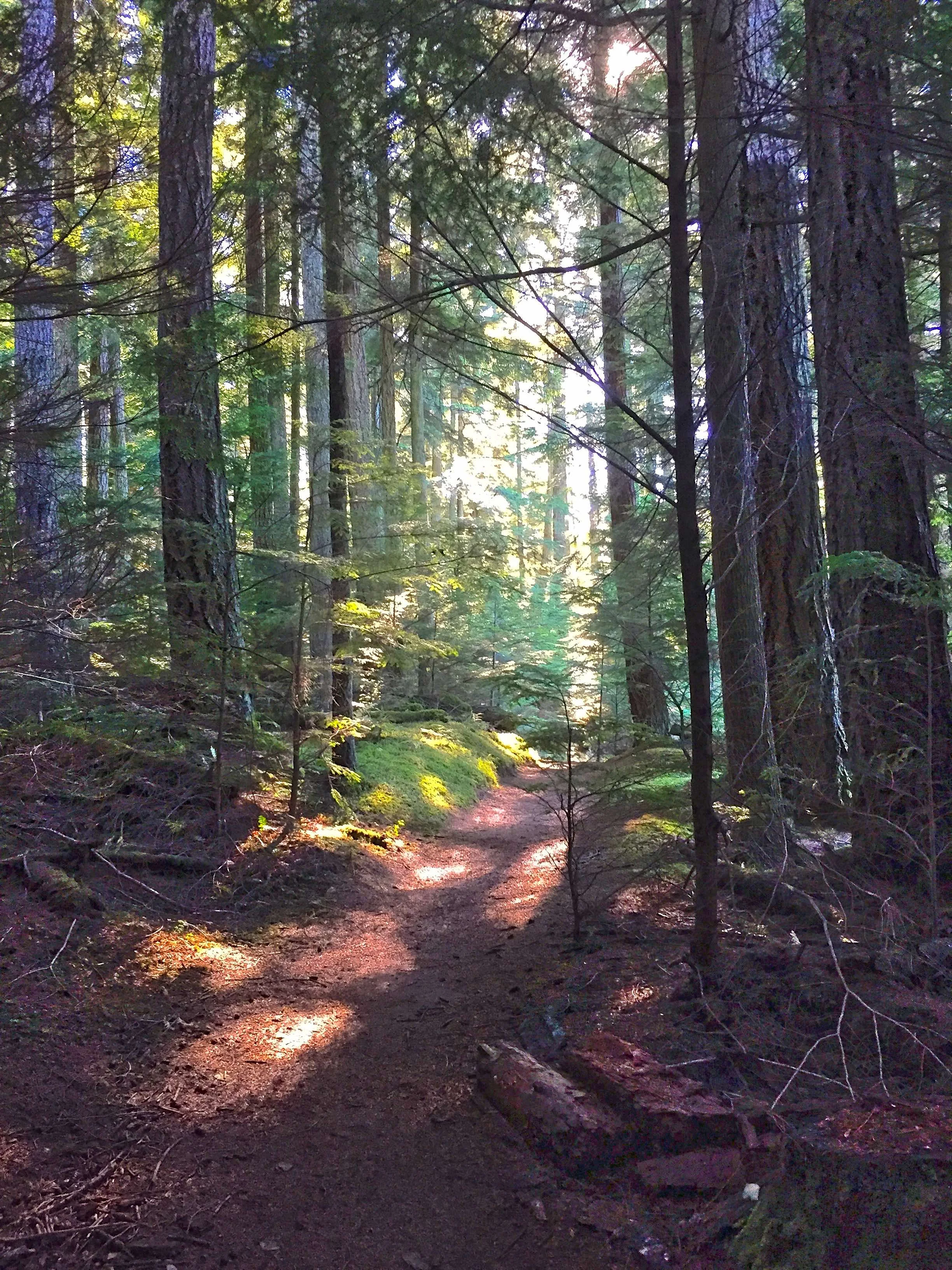 3 of our Favorite Hiking Trails in Moran State Park