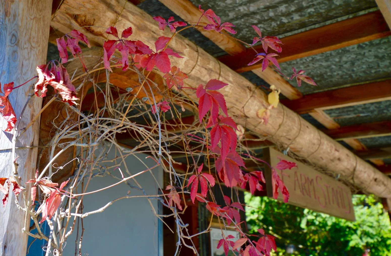 Fall in the air at the Farm Stand at Coffelt Farm